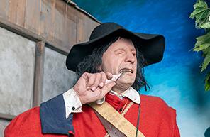 ams musketeer